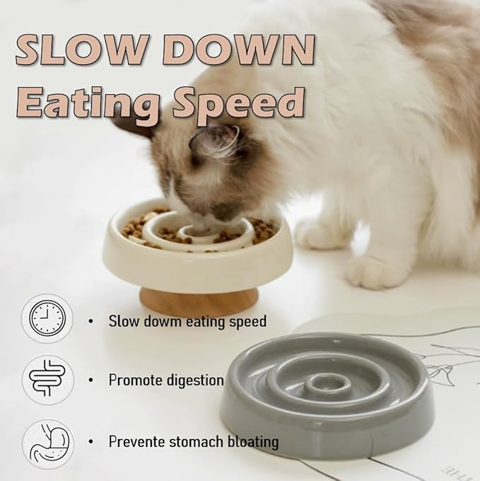 Ceramic Cat Slow Feeder, Raised Slow Feeder Cat Bowl, Anti Vomiting and Whisker Friendly Kitty Dish, Elevated Puppy Kitten Food Bowl for Dry and Wet Food (White)