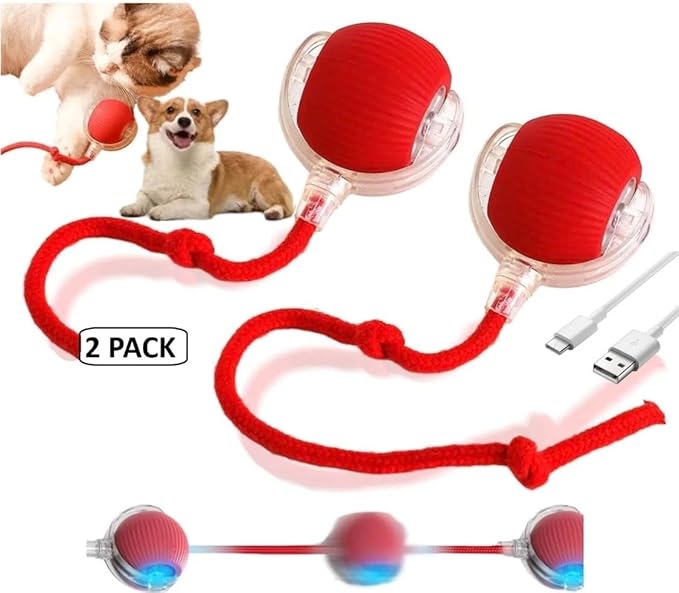 Interactive cat Toy Ball Chaser led recharable USB (Blue)