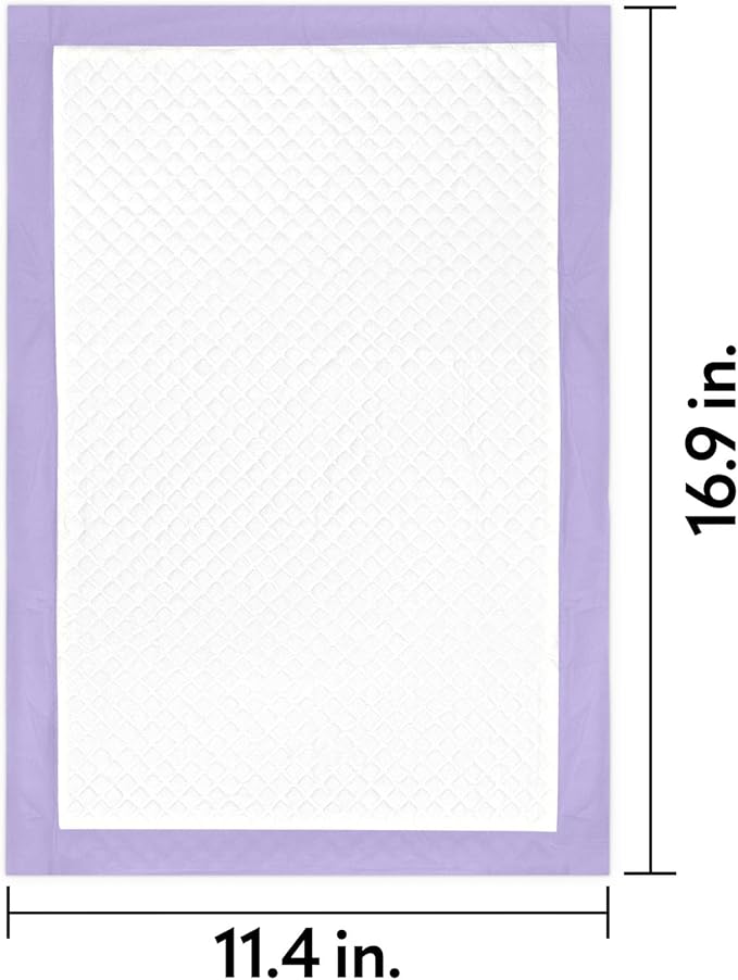 Paw Inspired Cat Pads, Generic Refills for Tidy Cats Breeze Litter Box System, Disposable Kitty Litter Liners for Easy Cleaning, Super Absorbent Pee Pads, 16.9 x 11.4 Inch (Scented, 20 Count)
