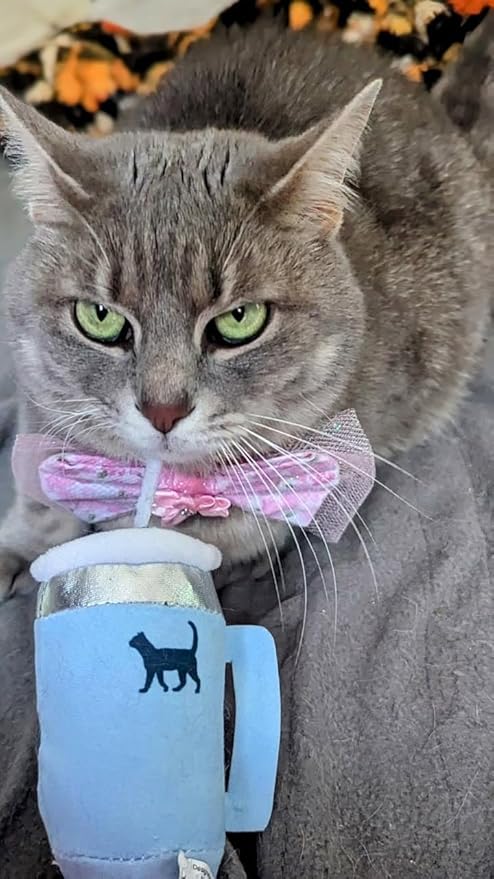 PUPROAR Kitty Cup Catnip Toy - Easter & Birthday Cat Gift Toy with Catnip & Crinkle, Funny Gift for Girl Indoor Kitten (Chambray Blue)