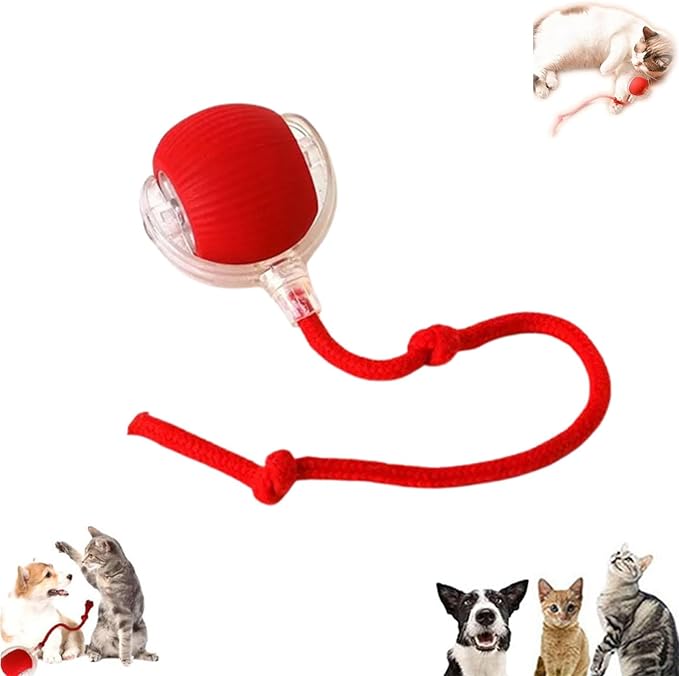 Vocal Dog Ball, Smart Motion Pet Ball, Interactive Cat Toys for Indoor Cats, Automatic Dog Toys, Rolling Balls Dog Toy, 360 Smart Automatic Electric DogBall Toy for Dogs and Cats