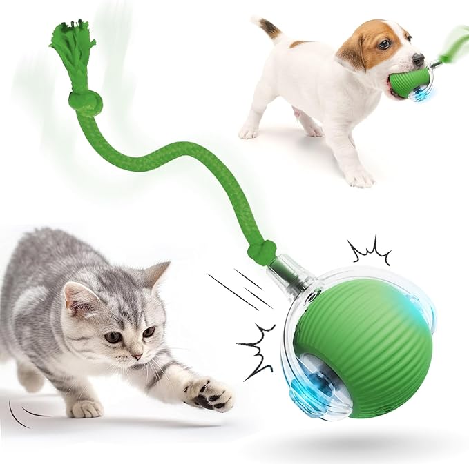 Interactive Cat Toy Ball, 2026 New Cat Toys for Indoor Cats, Smart Self Rolling Interactive Dog Ball Toys, Automatic Moving Peppy Pet Balls for Cats Kitten (Green)