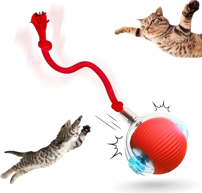 Interactive Rotating Cat Ball Toy, 360 Smart Rolling Ball Electric, Automatic Moving for Cats & Kittens (Red)