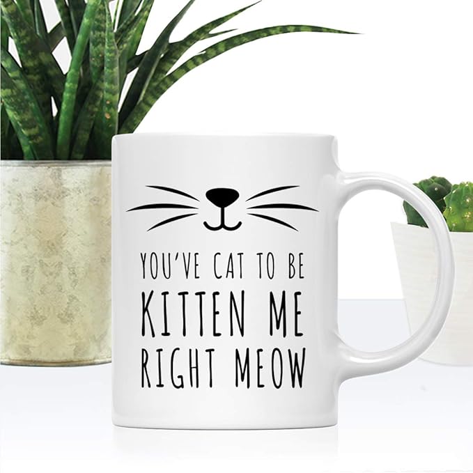 Andaz Press Funny Cat Lover 11oz. Ceramic Coffee Tea Mug, You've Cat To Be Kitten Me Right Meow, 1-Pack, for Cat Mom, Birthday Christmas Ideas, Includes Box