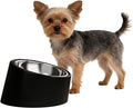 15° Tilted Slow Feeder- Non-Spill & Non-Slip Stainless Steel Dish for Small & Cats - Detachable 160ml Elevated Black (Size S)