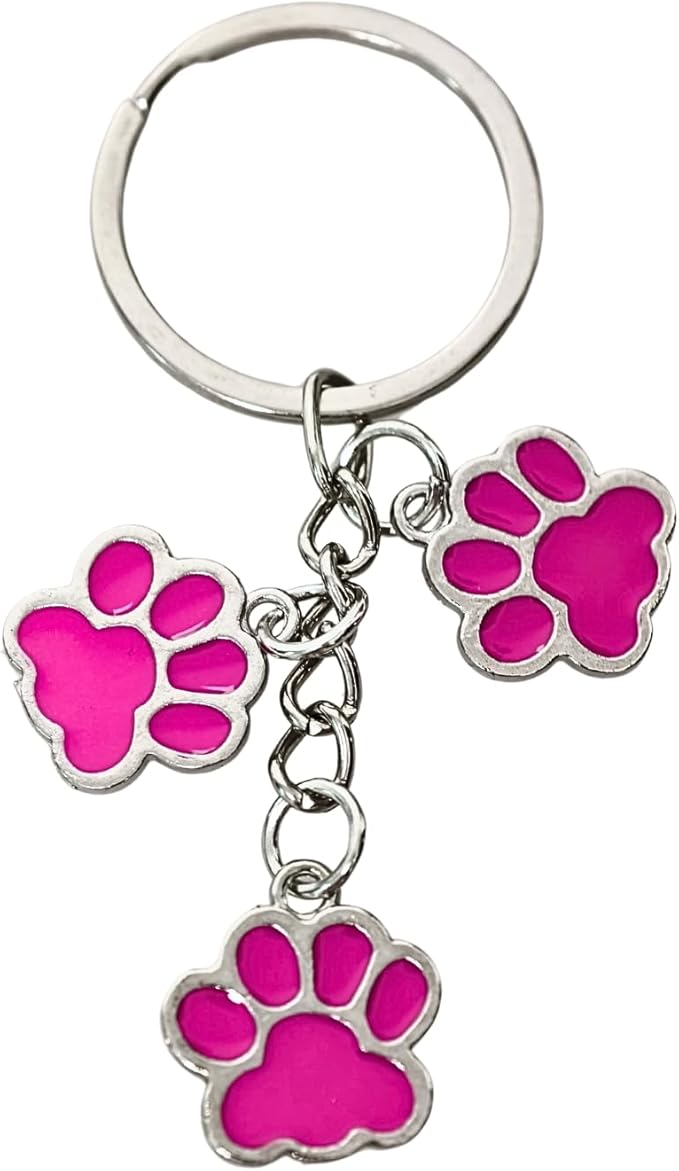Aesthetic Metal Claw Keychain Cute Key Rings Charms for Women Kawaii Dog Cat Pet Gifts for Bag Backpack Car Keys