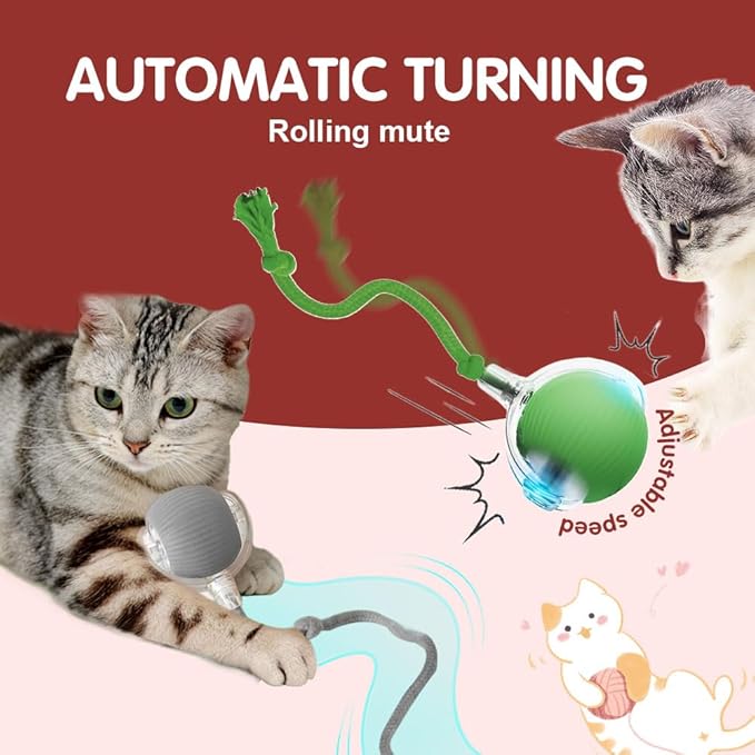 Yilia Interactive Cat Toys for Indoor Cats, 2026 Upgrade Kitten Toys to Relieve Boredom for Indoor Cats, mart Automatic Electric Balls Toys for Bored Cats Dogs (GN+RD)