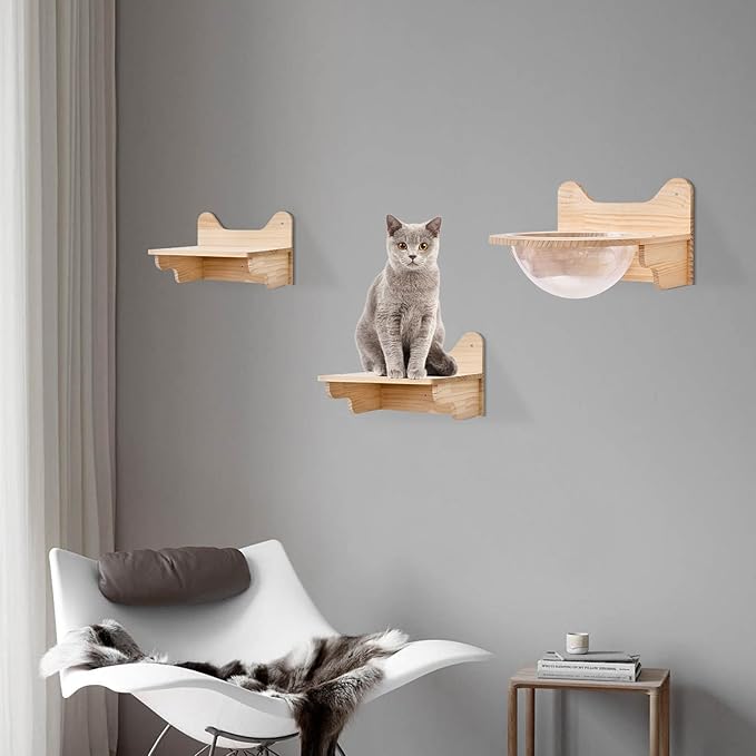 Space Capsule Style Transparent Cover Cat Bed, Wall Mounted Cats Shelf House,Perch Seat For Sleeping,Thai Rubber Wood For Living Room Pet Room,Load Of 17.6 Lbs. (Space Capsule+ 2 Jumping Platforms)