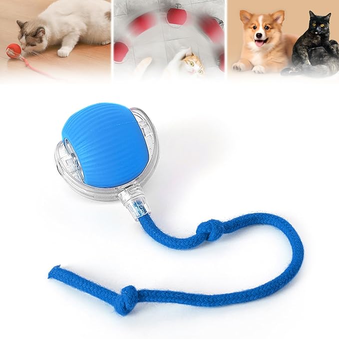 Interactive Rolling Cat Ball, 2025 Smart Automatic Cat Dog Toys, Automatic Cat Toys, Self Moving Cat Toys, Interactive Cat Toy Ball for Bored Small Dogs, Cats (Blue)