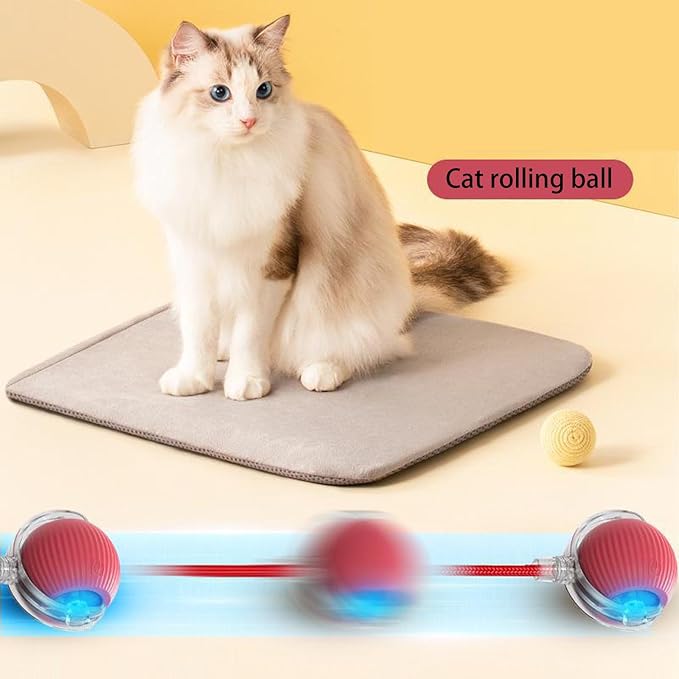 Red Interactive Cat Toys Rolling Ball, 360° Automatic Self Moving Dog/Cat Pet Toy for All Kinds of Surfaces - Wood Flooring, Tile, Carpet