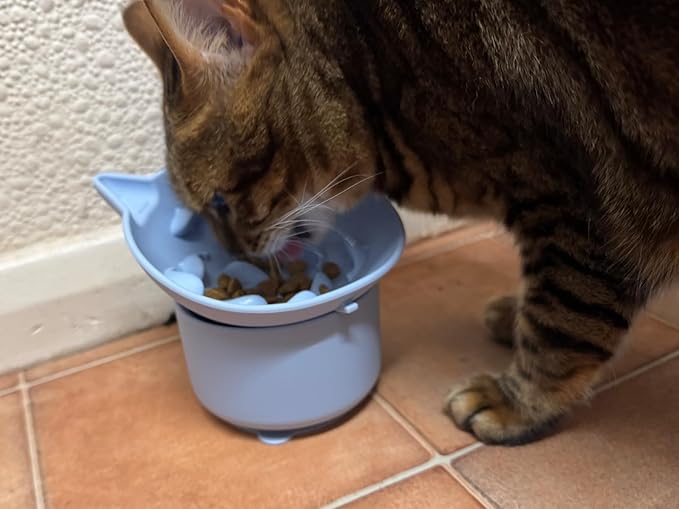 Elevated Cat Bowl, Silicone Dog Bowls for Food and Water, Wide Shallow Cat Food Dish, Whisker Fatigue, Lead & Cadmium Free, Great Height for Pet(Green)