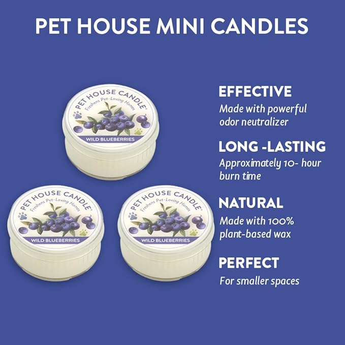 Pet House Mini Candles for Pet Odor Made with Natural Soy Wax, Plant Based, Dog and Cat Friendly Scented, Wild Blueberries Pack of 3