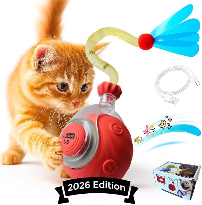 Cat Toys for Indoor Cats – 2X Automatic Kitten Interactive Toy with Speedy Ball Tail as Pet Mental Stimulation - 2-Set Bundle - 2026 Edition (Random Color)