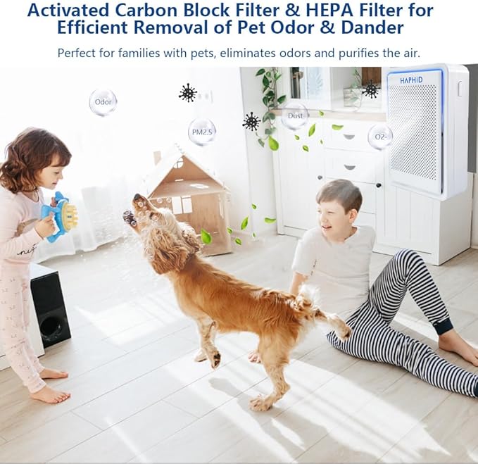 Cat Litter Deodorizer Plug In Ionizer Air Purifier, Litter Deodorizer 3 in 1 with Ionizer, HEPA Filter & Activated Carbon Block, Pet Odor Eliminator for home to Clean: Various Odors (2-Pack）