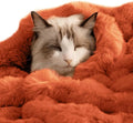 SOMAHE Self-Warming Cat Blanket for Indoor Cats & Small Dogs, Dual-Side Sherpa Plush Throw, Anti-Static Shared Couch Mat for Crate & Travel, Machine Washable No Shrink, 28x22 Inch Orange