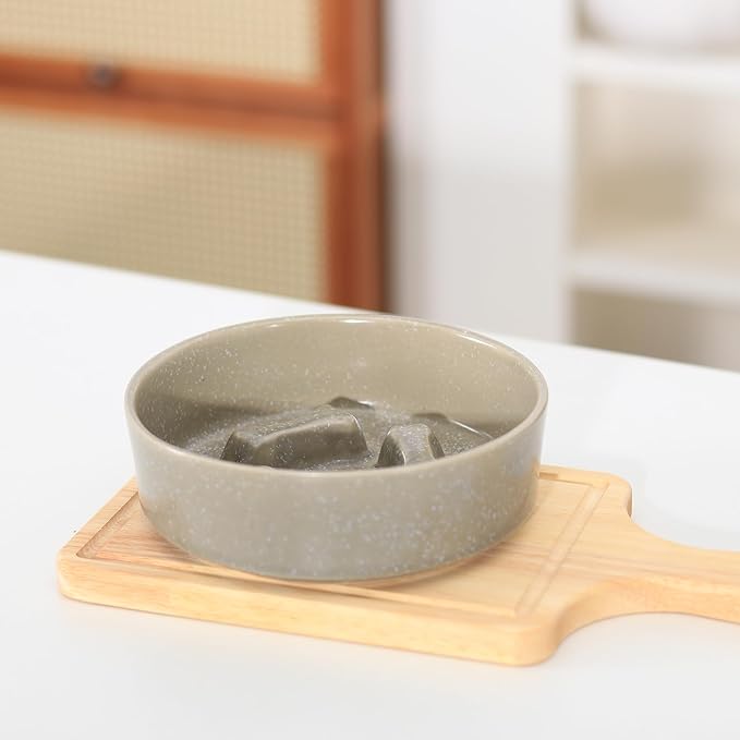 Ceramic Slow Feeder Cat Bowls 6 Inch Cute Bone Slow Feeding Dog Food Bowl,Whisker-Friendly, Anti-Vomiting Feeder for Cats and Small Dogs Non Slip Dishwasher/Microwave Safe (Grey)