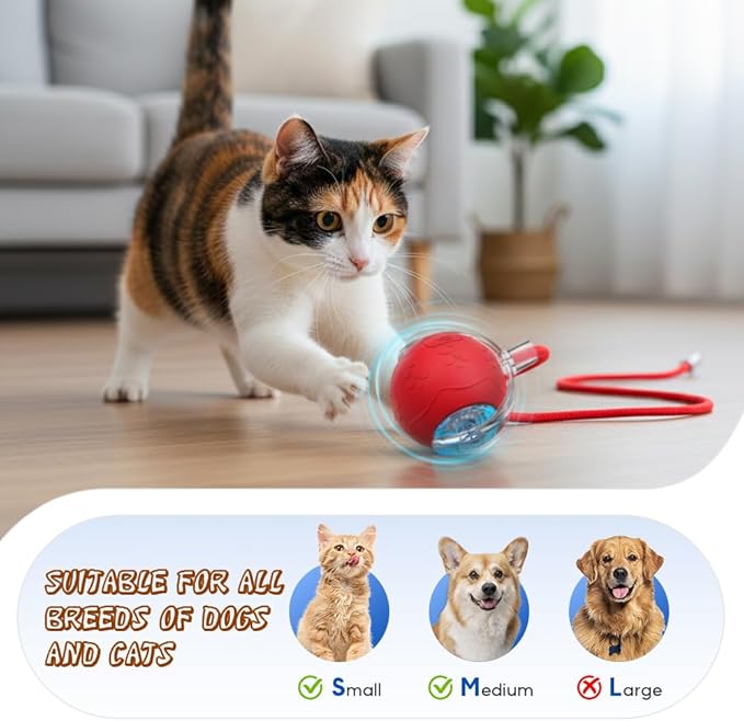 Interactive Cat Toys for Indoor Cats, 2026 New Smart Interactive Ball for Cats & Dogs, Electric Rolling Ball Toy for Bored Indoor Adult Cat to Keep Them Busy (Gray)