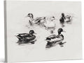 Vintage Mallard Ducks Canvas Wall Art Country Duck Sketch Print Painting Cottagecore Wall Decor for Farmhouse Home Living Room 8x10 Inches Framed