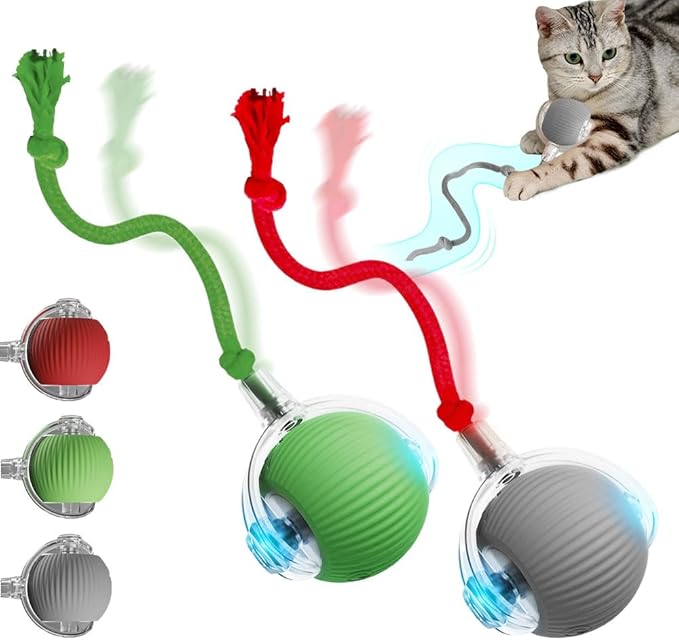 Yilia Interactive Cat Toys for Indoor Cats, 2026 Upgrade Kitten Toys to Relieve Boredom for Indoor Cats, mart Automatic Electric Balls Toys for Bored Cats Dogs (GR+GN)