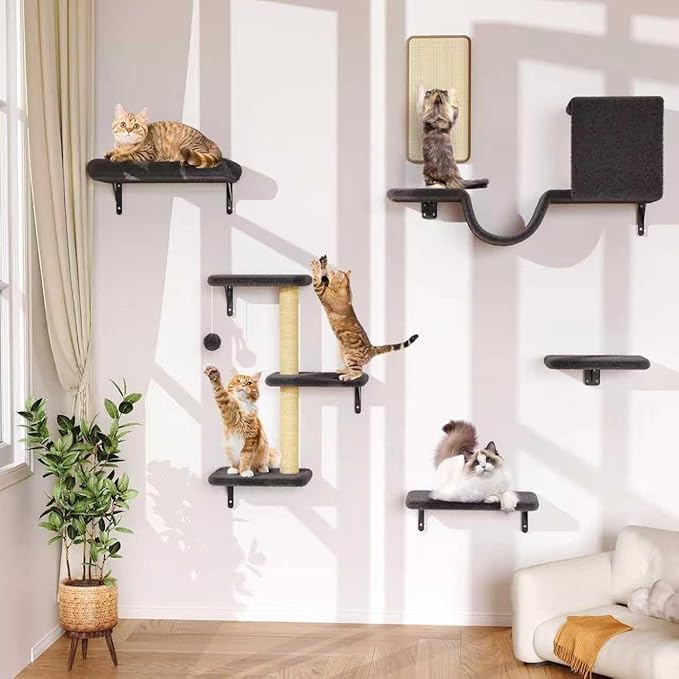 6-in-1 Wall Mounted Cat Climber Set for Heavy Cats,Wall Shelves,Stable & Safe Cat Furniture Set for Large Cats, Wooden Climbing Wall with Scratching Post (Black)