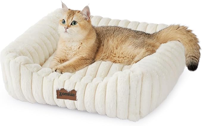 ZOMISIA Small Dog Beds for Small Dogs - Washable Cat Beds for Indoor Cats, Rectangle Orthopedic Puppy Bed with Fluffy Removable Cover, 20x19x7inches, Cream