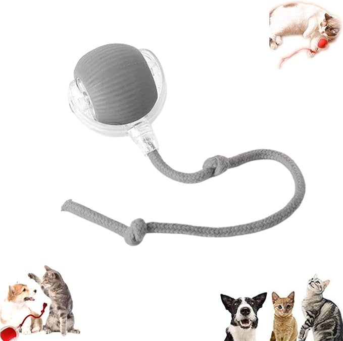 Vocal Dog Ball, Smart Motion Pet Ball, Interactive Cat Toys for Indoor Cats, Automatic Dog Toys, Rolling Balls Dog Toy, 360 Smart Automatic Electric DogBall Toy for Dogs and Cats