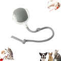 Vocal Dog Ball, Smart Motion Pet Ball, Interactive Cat Toys for Indoor Cats, Automatic Dog Toys, Rolling Balls Dog Toy, 360 Smart Automatic Electric DogBall Toy for Dogs and Cats