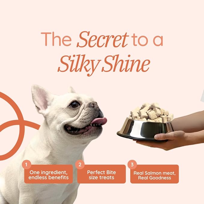 Benji & Louie Freeze Dried Salmon Bites for Dogs & Cats – Single Ingredient Treats, Grain-Free – 3 oz (85 g) (Salmon)