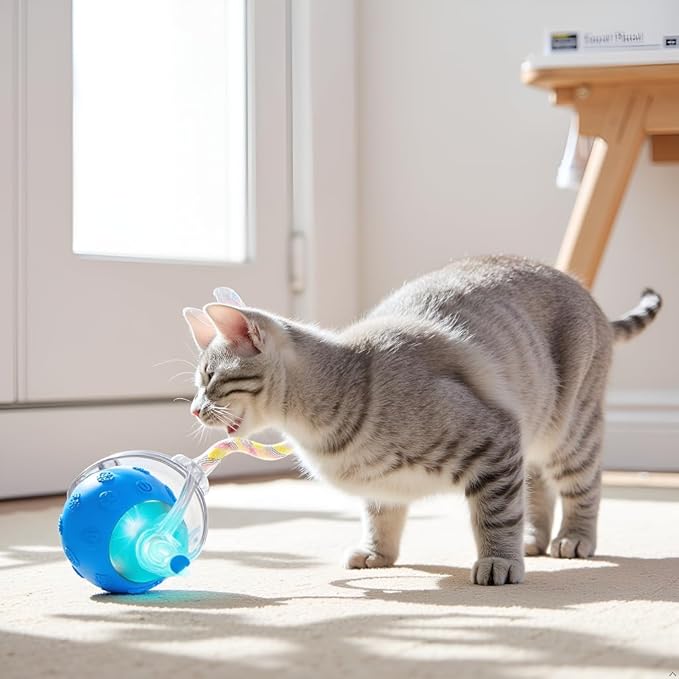 Interactive Cat Ball Toy with LED Light, Motion Activated Snake Tail, 5-Minute Auto Standby, Navy Blue