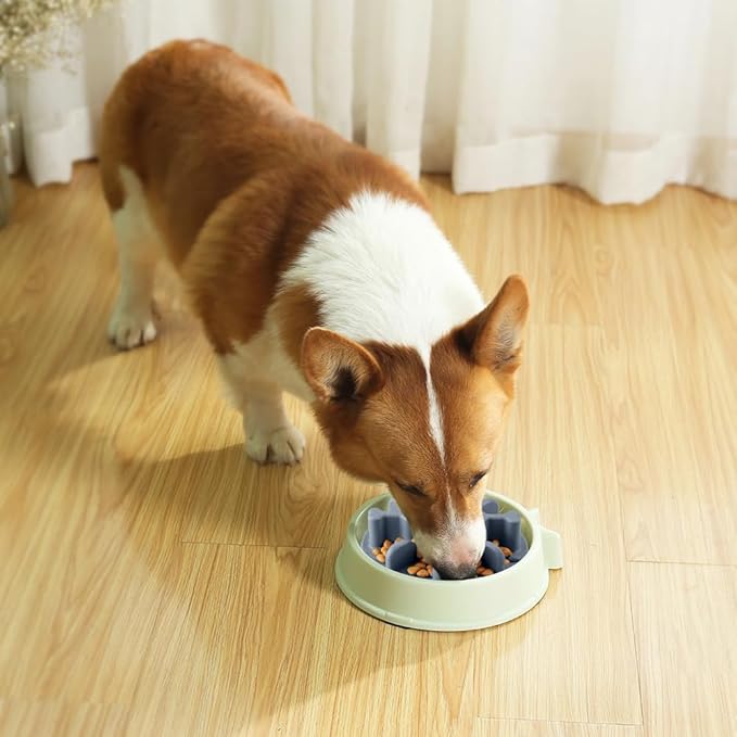 Slow Feeder Dog Bowls Insert, Animire Soft Silicone Anti-Choking Puzzle Slow Feeder, Anti-Slip Slow Down Eating Feeder Insert, Compatible with Regular Elevated Dog Bowls