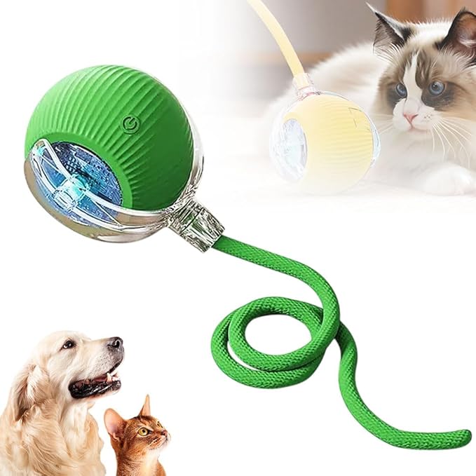 Interactive Cat Toys for Indoor Cat, Smart Rolling Cat Toy Ball with 3 Modes, Rechargeable Kitten Toys to Relieve Boredom, Automatic Obstacle Avoidance Cat Toys Interactive for Active Cats (Green)