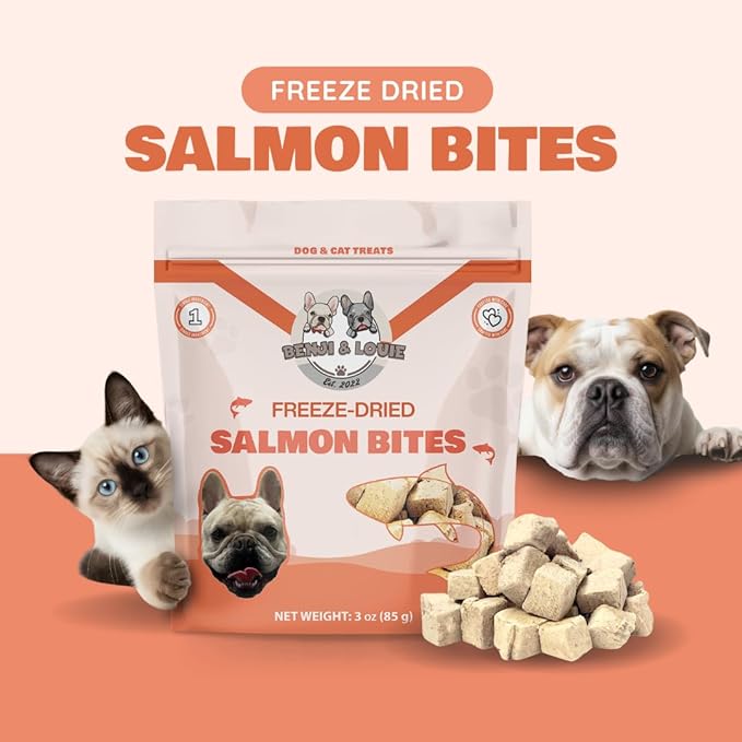 Benji & Louie Freeze Dried Salmon Bites for Dogs & Cats – Single Ingredient Treats, Grain-Free – 3 oz (85 g) (Salmon)