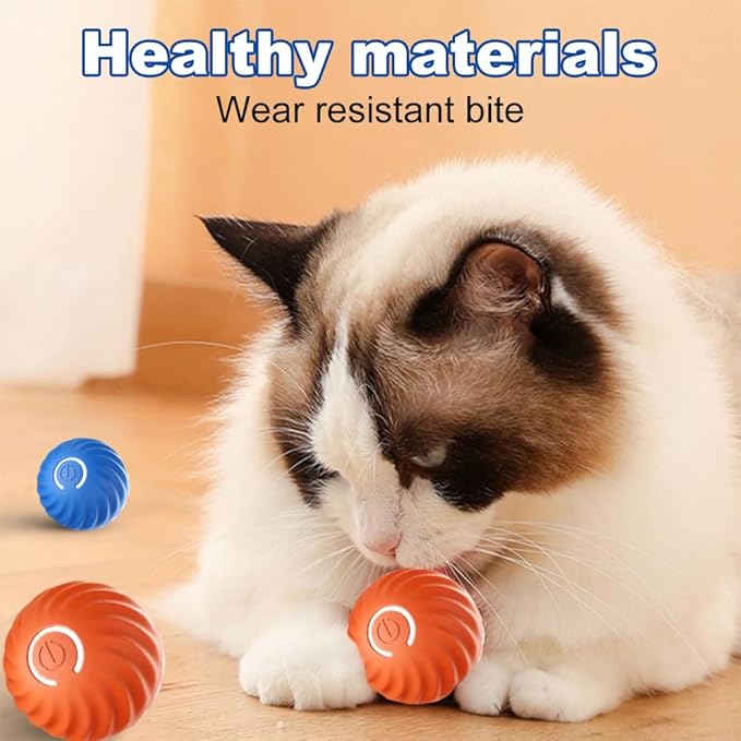2025 New Interactive Cat Toys Ball Fast Rolling in Pouch, Hide and Seek Cats Toy, Automatic Kitten Toys Moving Ball, Rechargeable Cat Enrichment Toys for Bored Indoor Adult Cats (B)