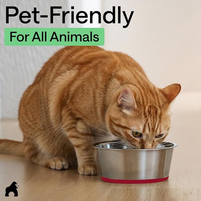 GORILLA GRIP Dog Bowls, Food Grade 304 Stainless Steel, Holds 1 Cup Each (8 fl oz) Food and Water Bowl for Feeding Dogs and Cats, Dishwasher Safe, Rust Resistant, BPA Free Rubber Base Set of 2 Red