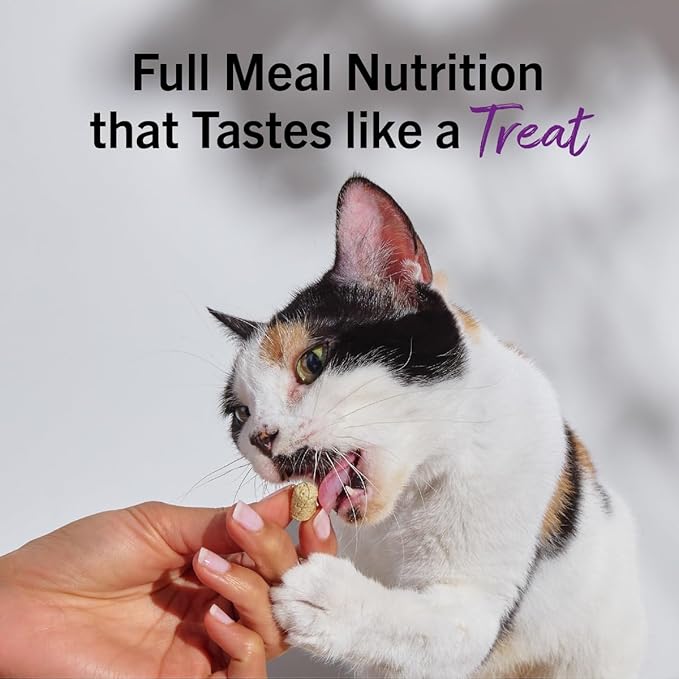Stella & Chewy's Freeze-Dried Raw Cat Dinner Morsels - Premium Salmon & Chicken Recipe with 98% Wild-Caught & Cage-Free Protein - Natural Grain-Free Cat & Kitten Food - Made in USA - 8 oz