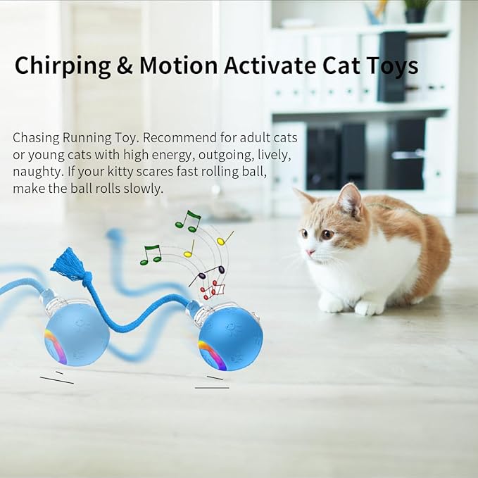 Blue Interactive Cat Toy,Automatic Moving Cat Toys for Bored Indoor Adult Cats,Fast Rolling,Chirping & Motion-Activated Kitty Toys,Fun Gift for Cats with Speedy 2.0 Tail,USB Rechargeable