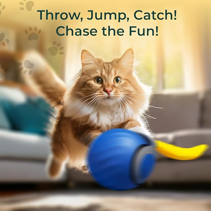 Interactive Cat Toy - Interactive Dog Toys, Automatic Cat Toy, USB Rechargeable, Suitable for Indoor and Outdoor - Moving Dog Toy, Cat Toys Interactive Speedy Tail 3.0 (Blue)