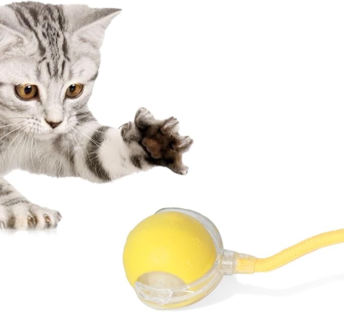 Rolling Interactive Dog Toys, Cat Toys for Indoor Cats, Electric Self Moving Cat Toy, 360° Smart Automatic Rolling Ball for Cat/Dog, Kitten Toy for Indoor Kittens Ball (Yellow)