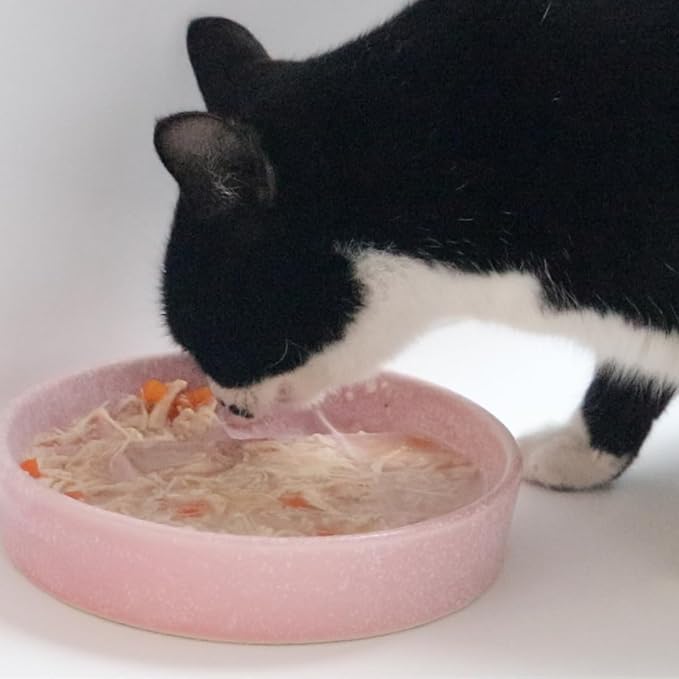 Ceramic Slow Feeder Cat Bowl, 6 Inch Shallow, Whisker Friendly, Dishwasher Safe (Pink)