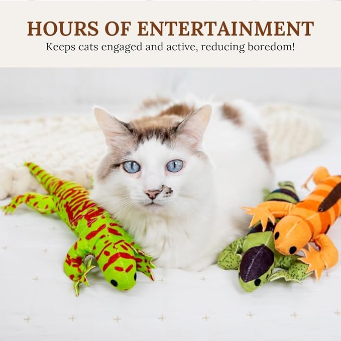 Interactive cat Toys