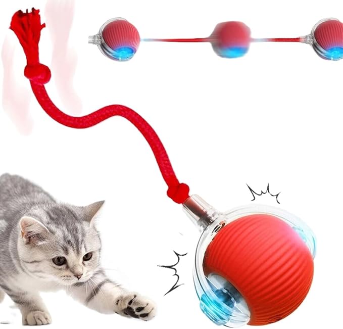 Dog Cat Toy Automatic Rolling Ball Smart Electric Pet Self-Moving Kitten Game US