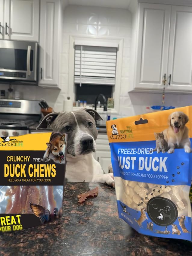 Freeze-Dried Dual-Protein Raw Bites for Dogs & Cats | 2.0oz Each Duck & Chicken Topper, Single-Ingredient Treat Food Nutritious, Grain-Free Training Reward (2.0 oz, Duck & Chicken (2-Pack))