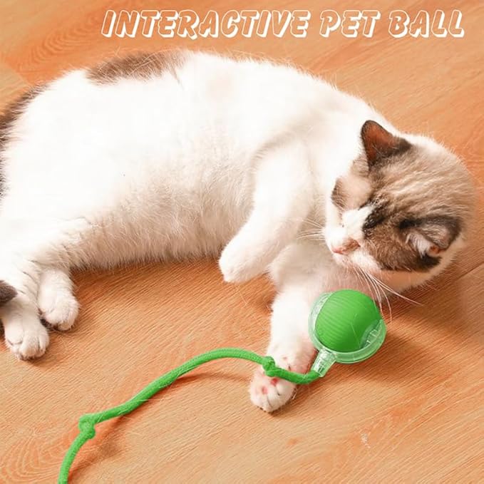 Interactive Cat Toy Ball, Automatic Rolling Electric Toy for Indoor Cats, Motion-Activated Smart Ball for Exercise and Play Toy for Kittens, Green