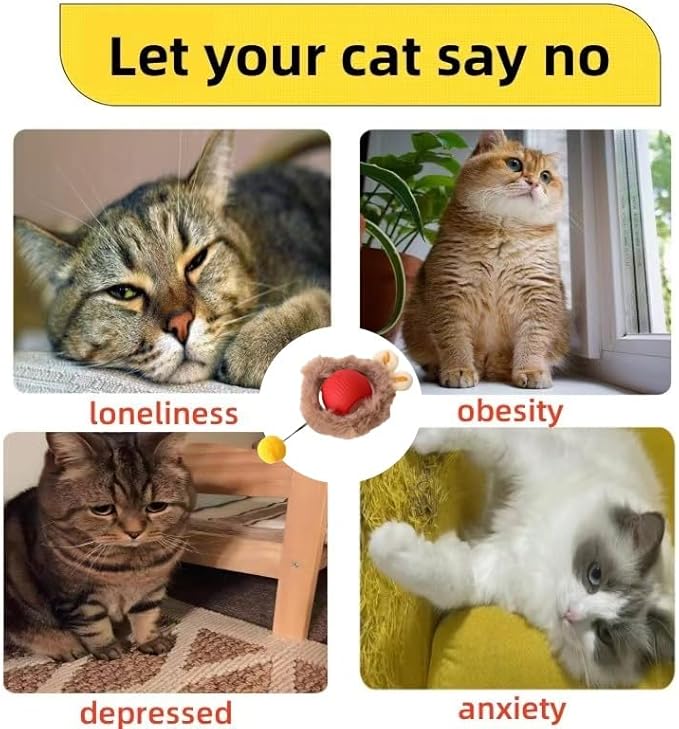 Interactive Cat Toys for Indoor Cats,Hide and Seek Cat Toy Automatic Motion Kitten Toys for Bored Cats Exercise with 2 Balls