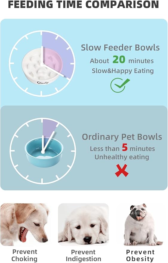Slow Feeder Dog Bowls, Farmhouse Ceramic Fun Slow Eater Bowl for Medium Sized Dog, White