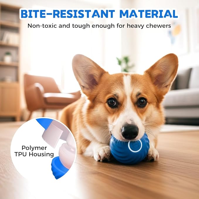 Interactive Dog Toys Dog Ball, Automatic Flashing Light Up Ball, Bite-Resistant Chew Toy to Stimulate Play and Relieve Boredom for Dogs and Cats (Blue)