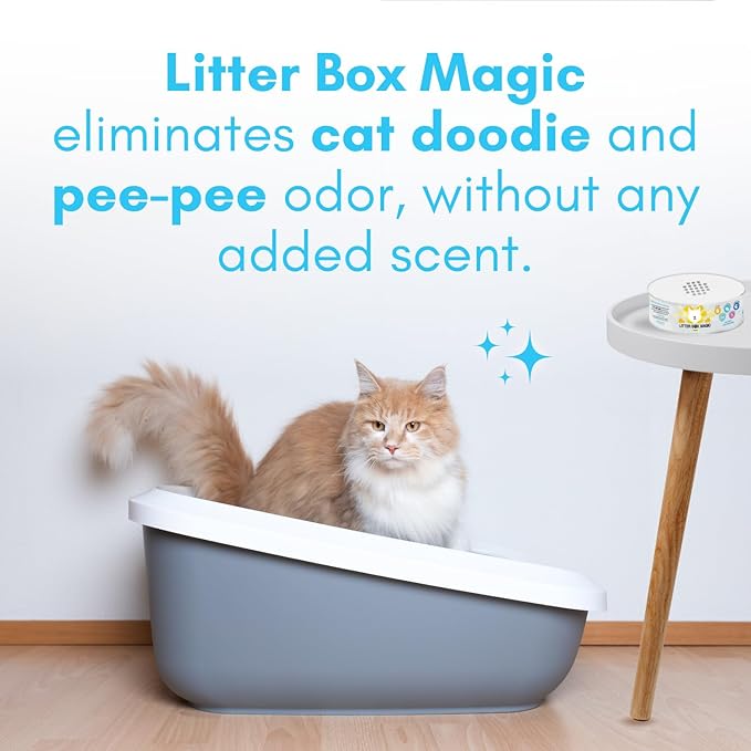 Cat Deodorizer Jar (16 oz, Pack of 2) Unscented - Air Freshener for Pet Smells from Litter Box - Odor Removing Litterbox Gel In A Jar - Pet Odor Eliminator to Freshen Air, White