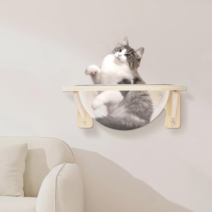 Space Capsule Style Transparent Cover Cat Bed,15.8 * 15.8 * 6in Wall Mounted Cats Shelf House,Perch Seat for Sleeping,Thai Rubber Wood,for Living Room Pet Room,Load of 16.5 Lbs.