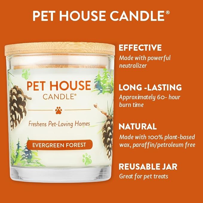 One Fur All Pet House Soy Candles, Clean Burning, Plant-Based Scented Candles for Pet Odor, Evergreen Forest, 4 Pack