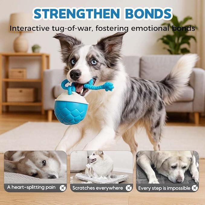 Interactive Dog Toys - 2026 Upgraded Motion Activated Automatic Rolling Ball Toys for Small/Medium/Large Dogs Balls for Boredom to Keep Them Busy with USB Rechargeable (Blue)